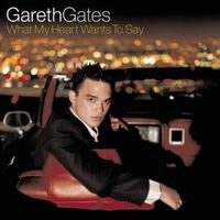 Karaoke "Unchained melody" de Gareth gates