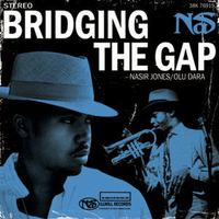 Karaoke "Bridging the gap" de Nas