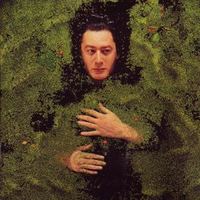 Karaoke "La nuit je mens" de Alain bashung