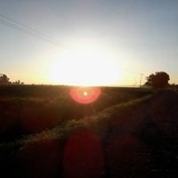 usuario_53