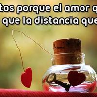 linali_08