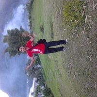 aser33