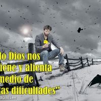 andres123321