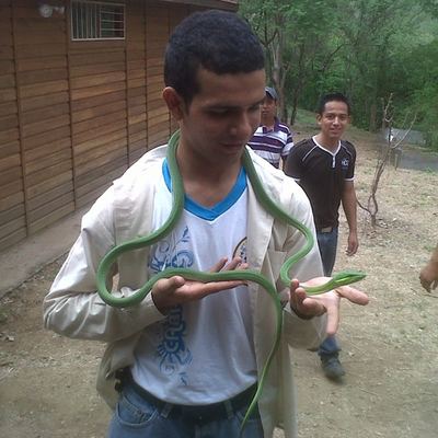 lfmf_taz