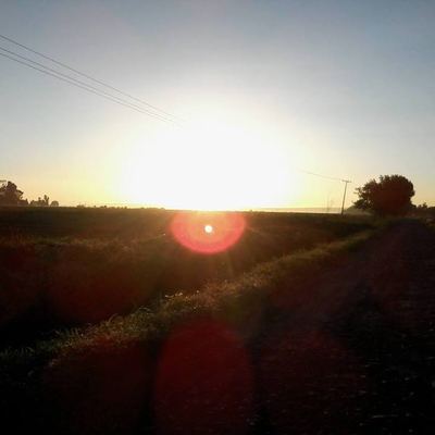 usuario_53