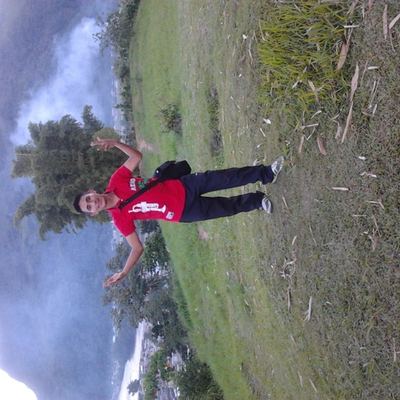 aser33